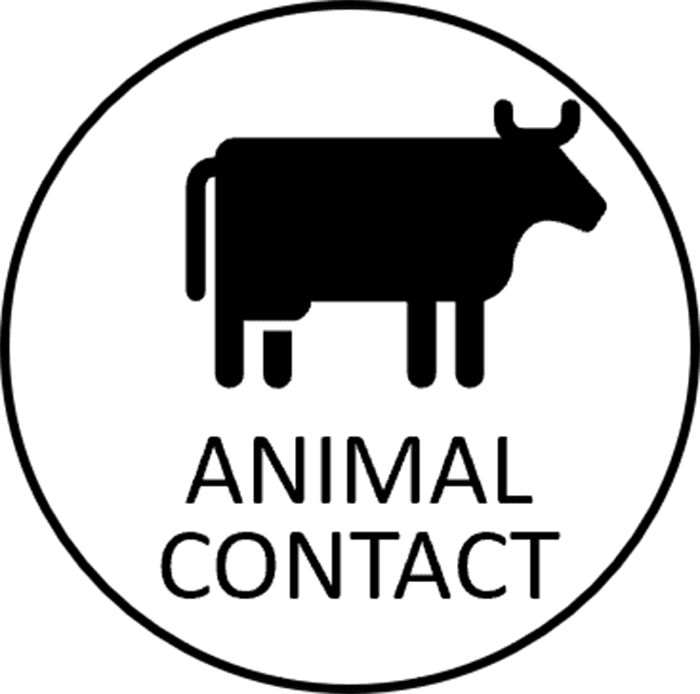 MicrosoftTeams-image (86)