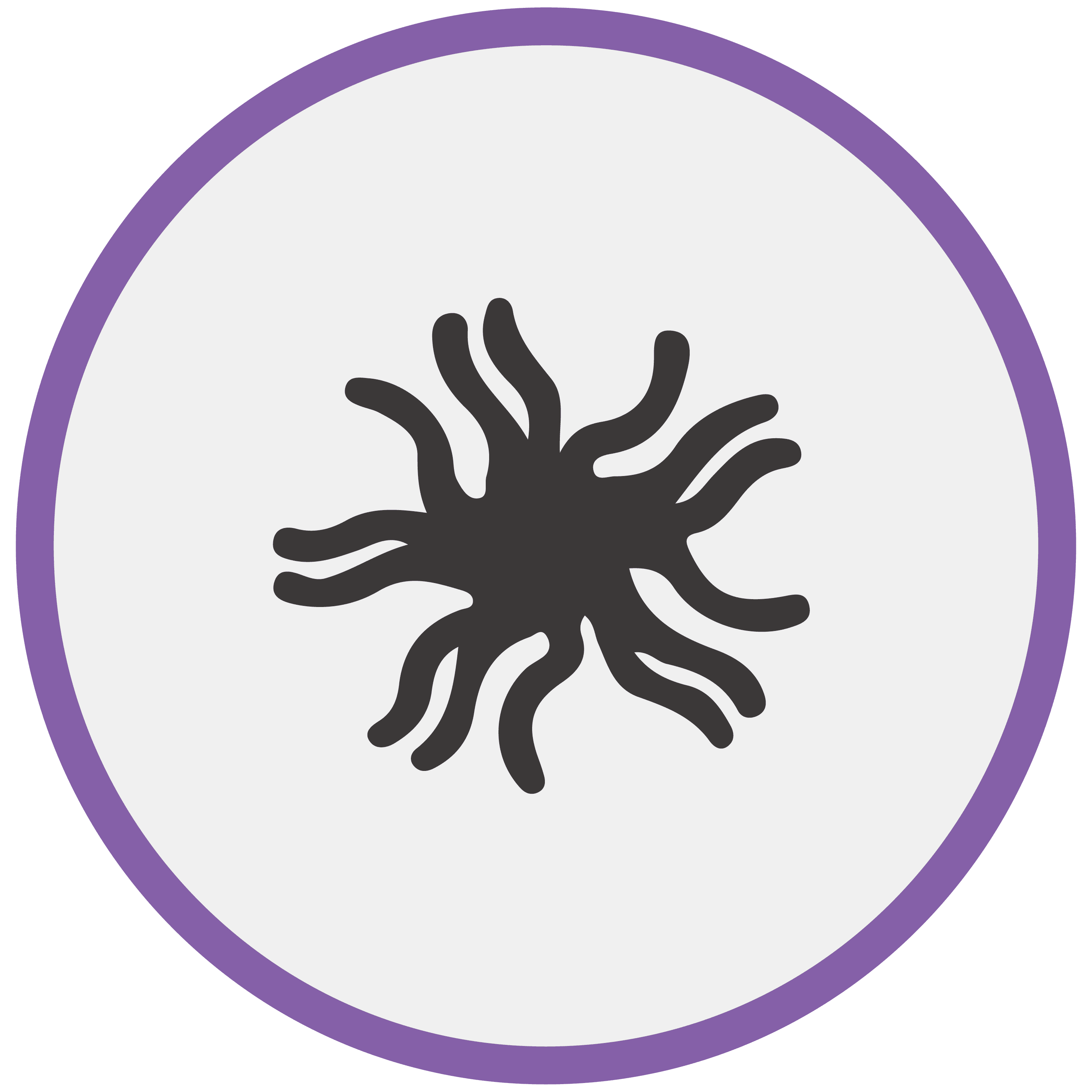 Aspergillus Morphology 1