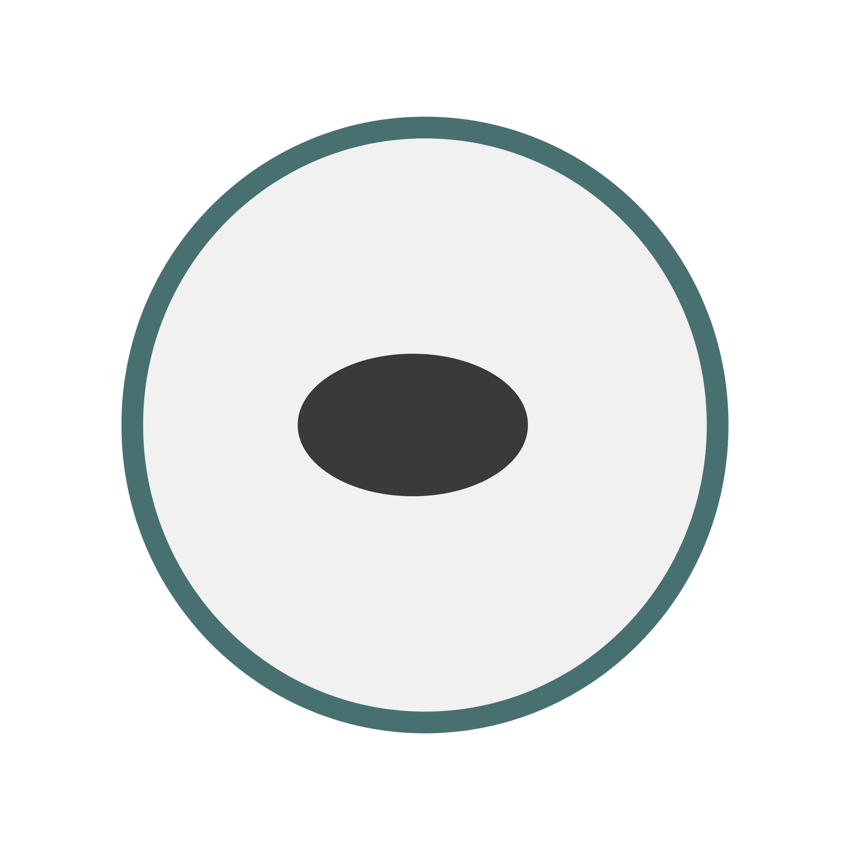 E. Coli Morphology 1