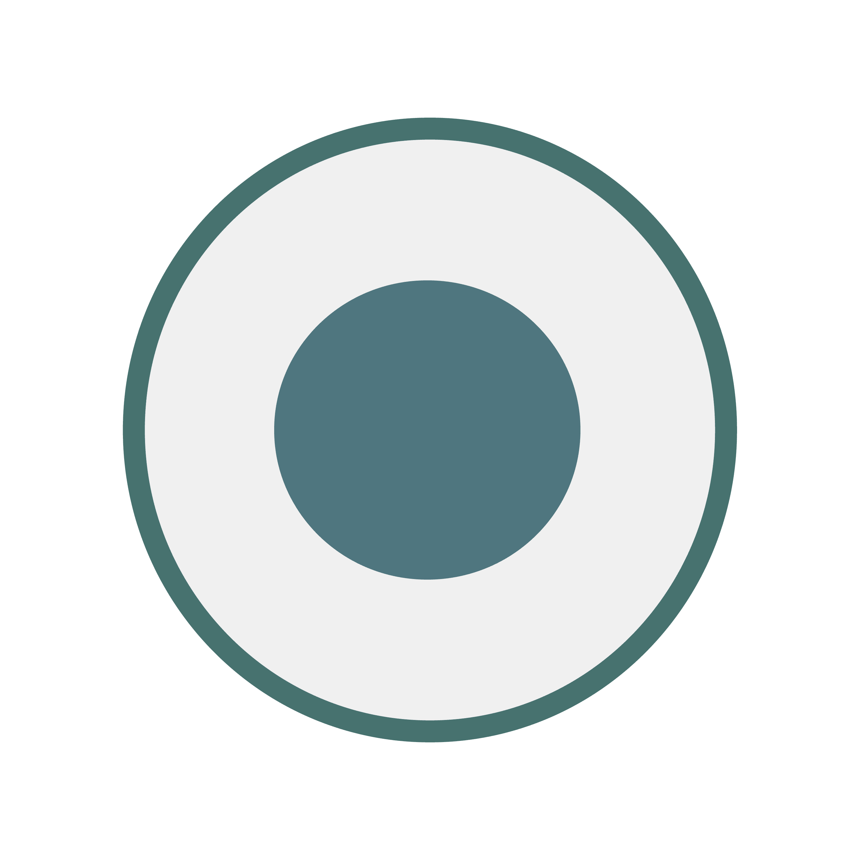 E. Coli Morphology 3