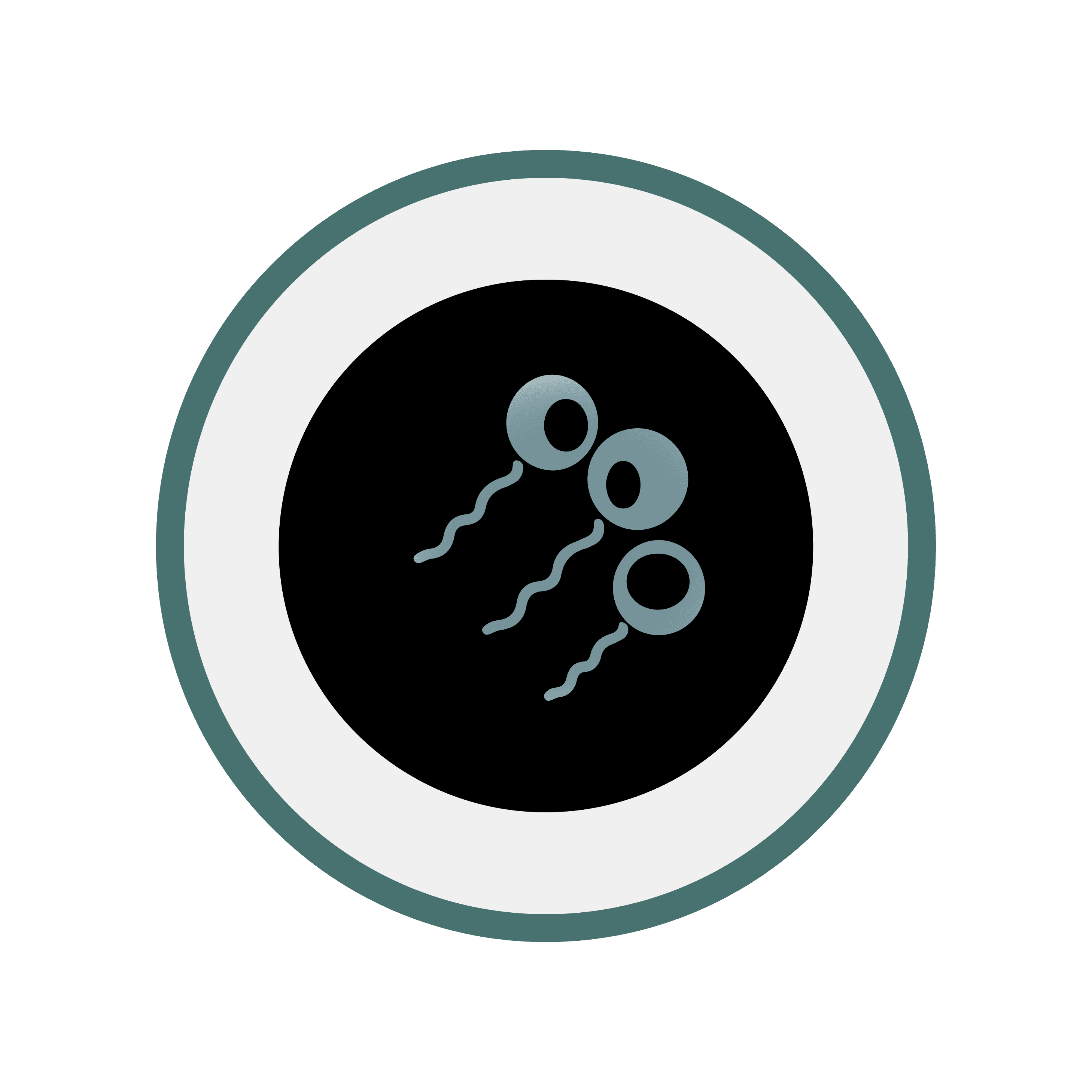 E. Coli Morphology 4