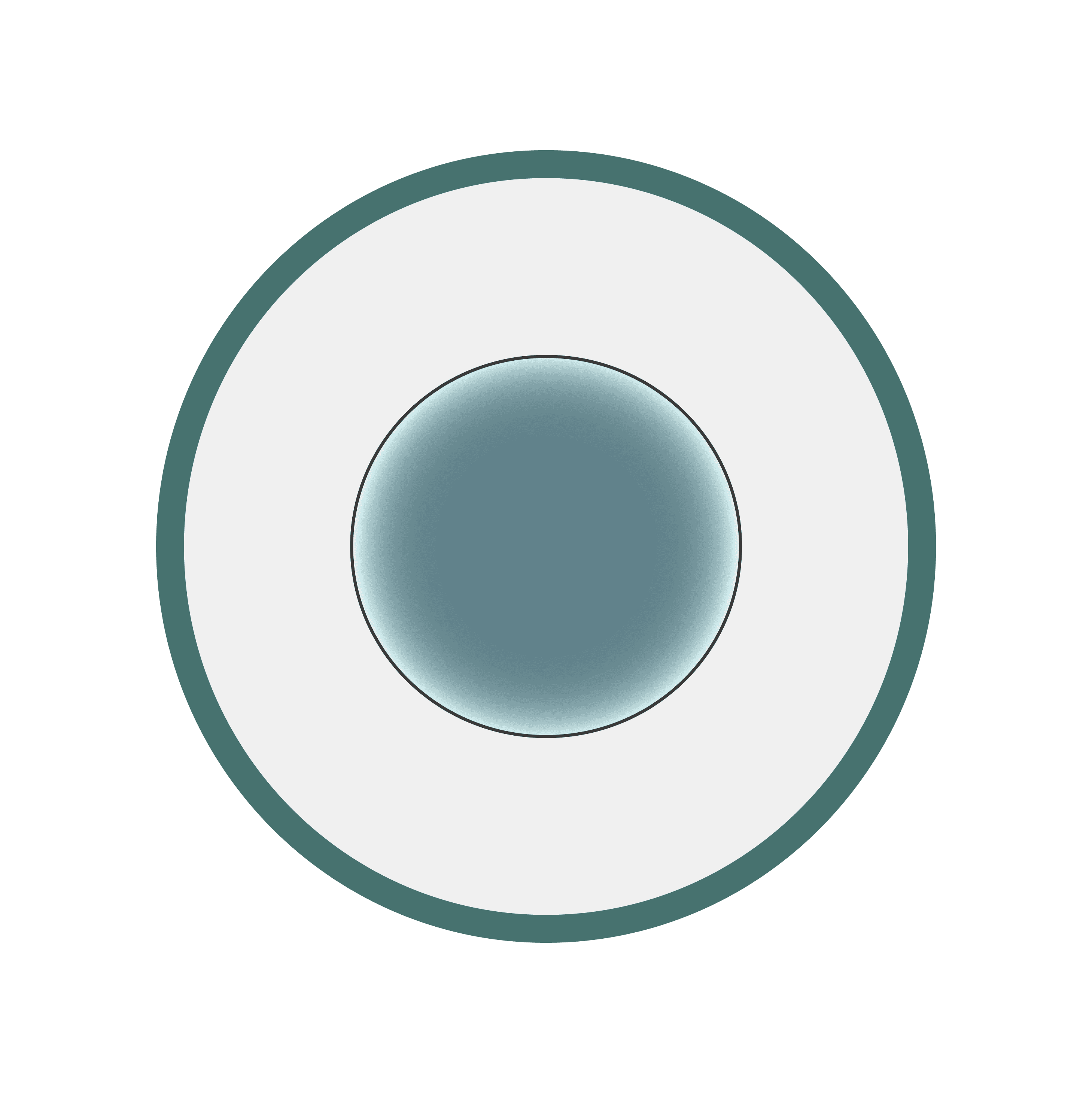 E. Coli Morphology 6