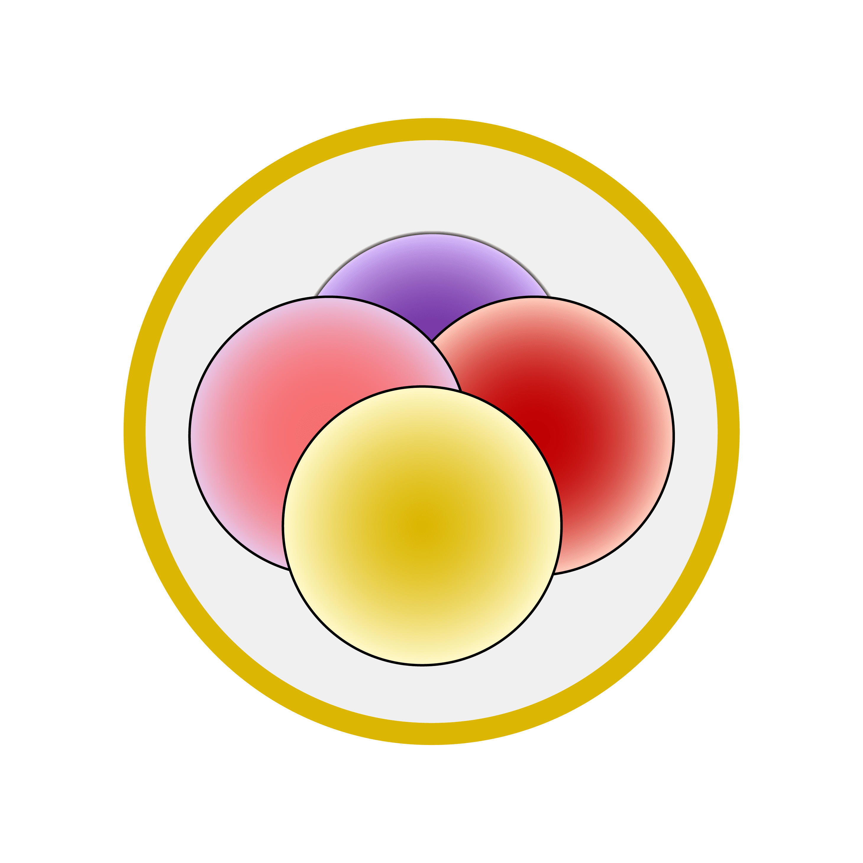 Fusarium Morphology 6