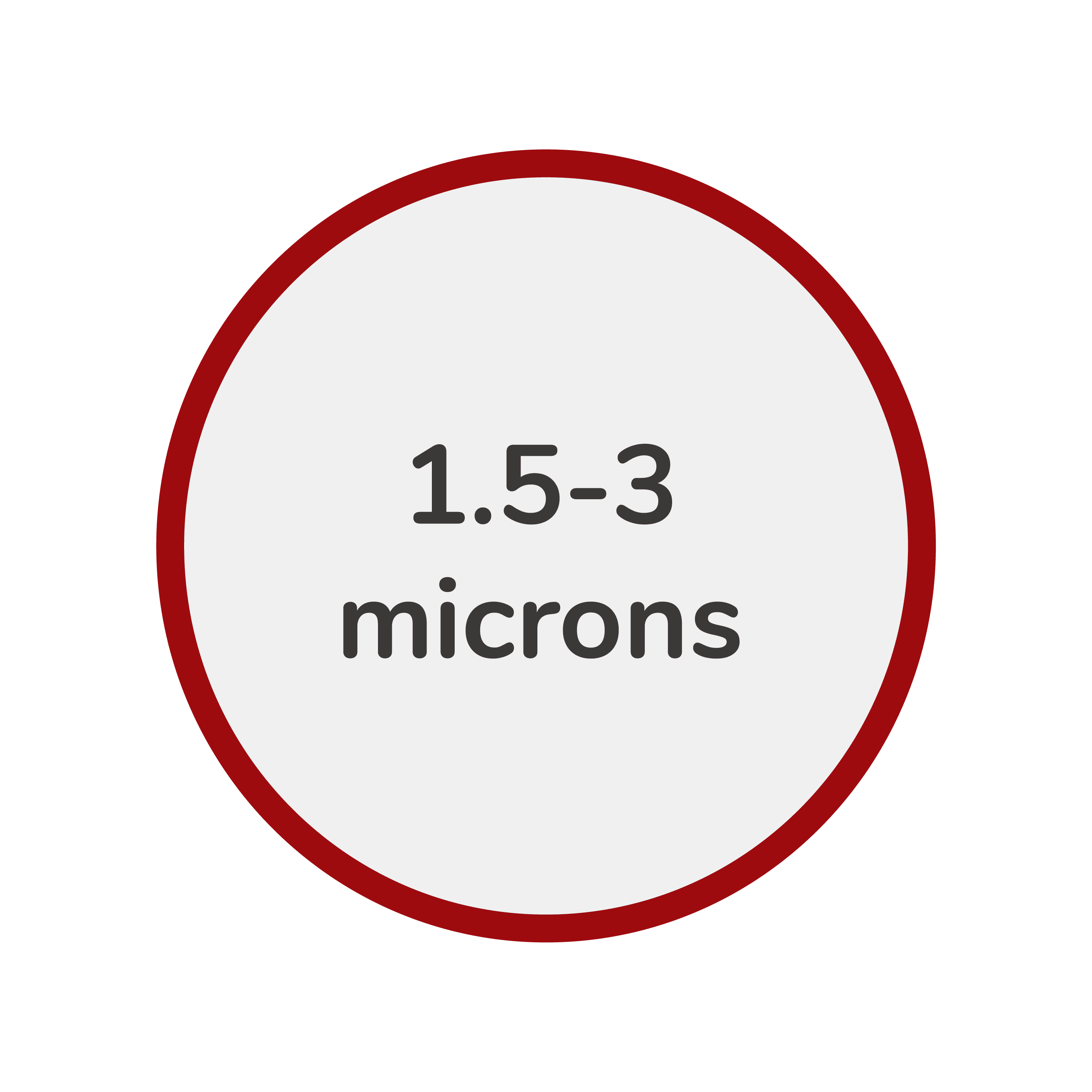 Pseudomonas Morphology 2