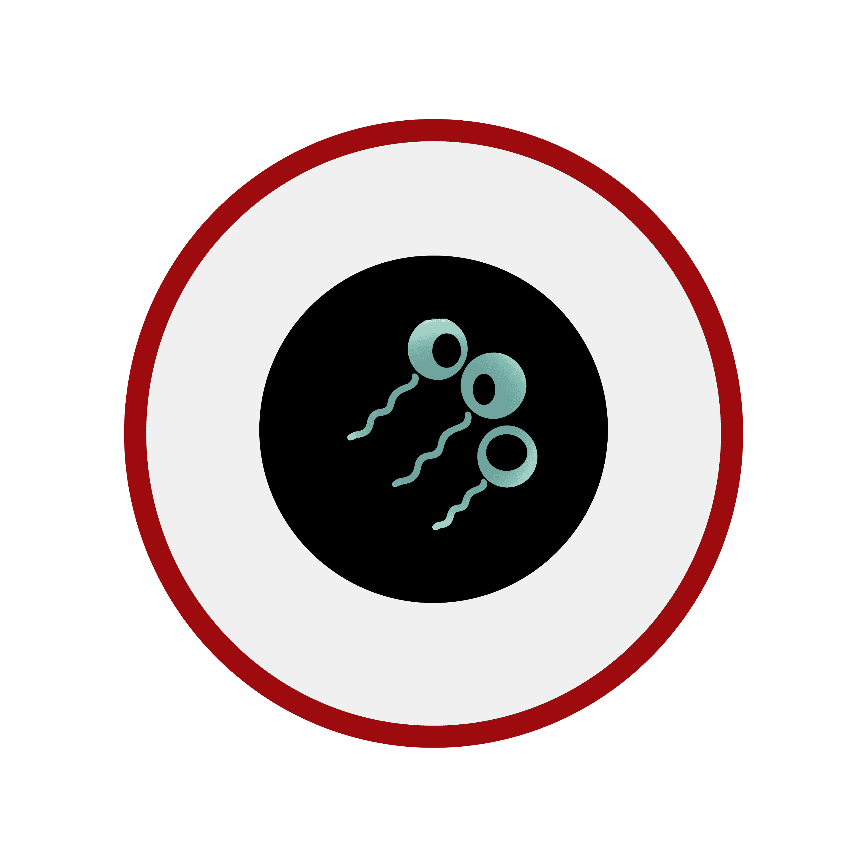Pseudomonas Morphology 4