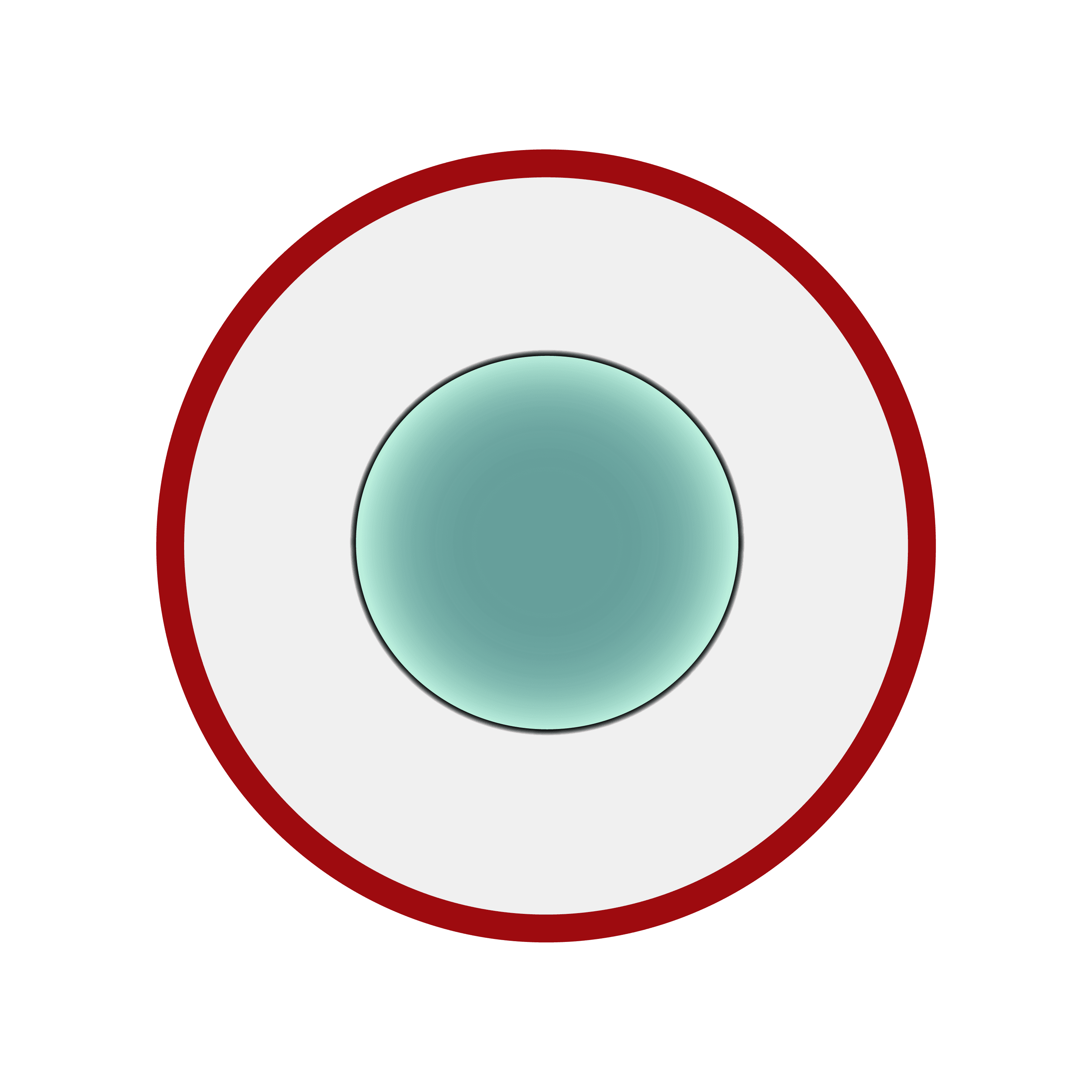 Pseudomonas Morphology 6