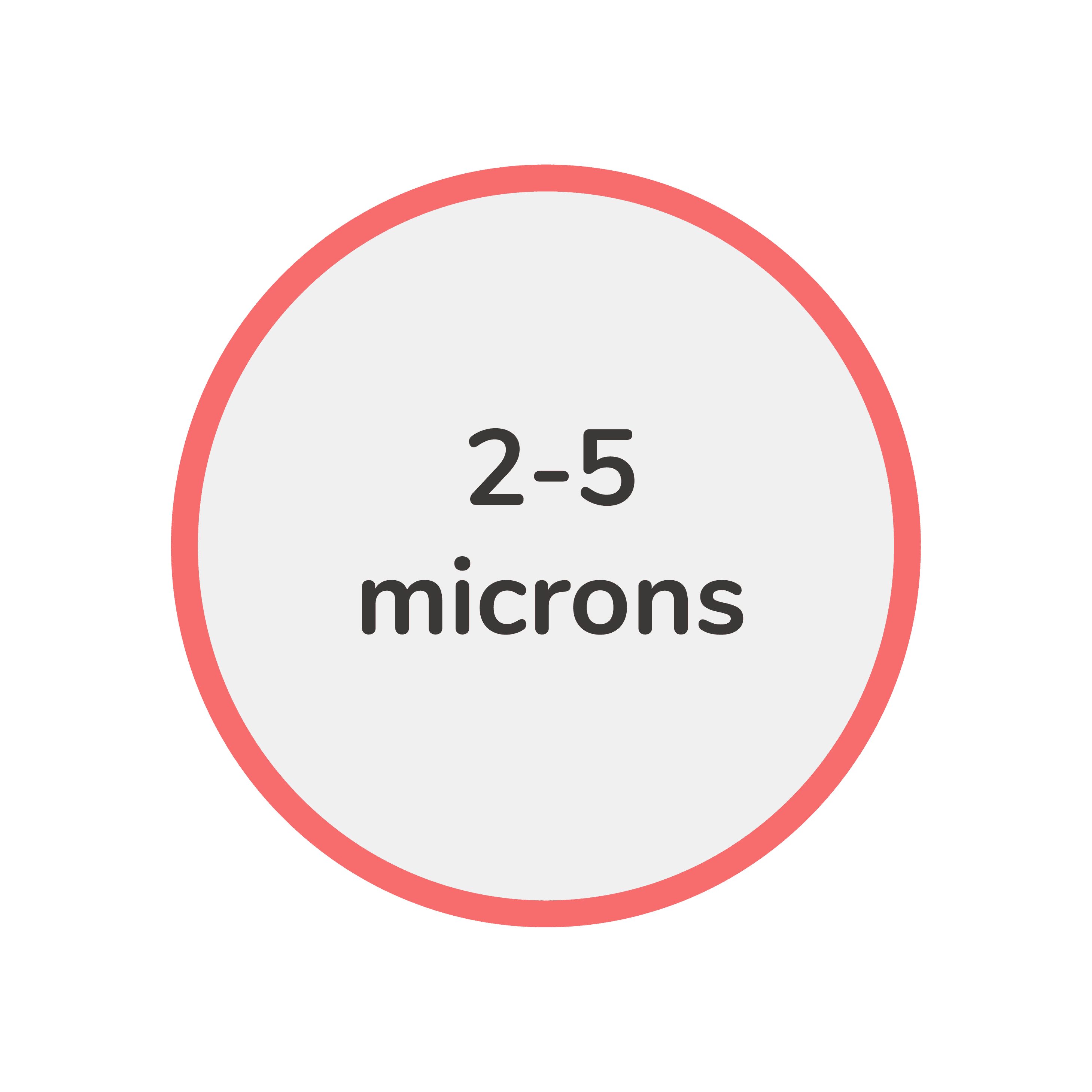 Salmonella Morphology 2