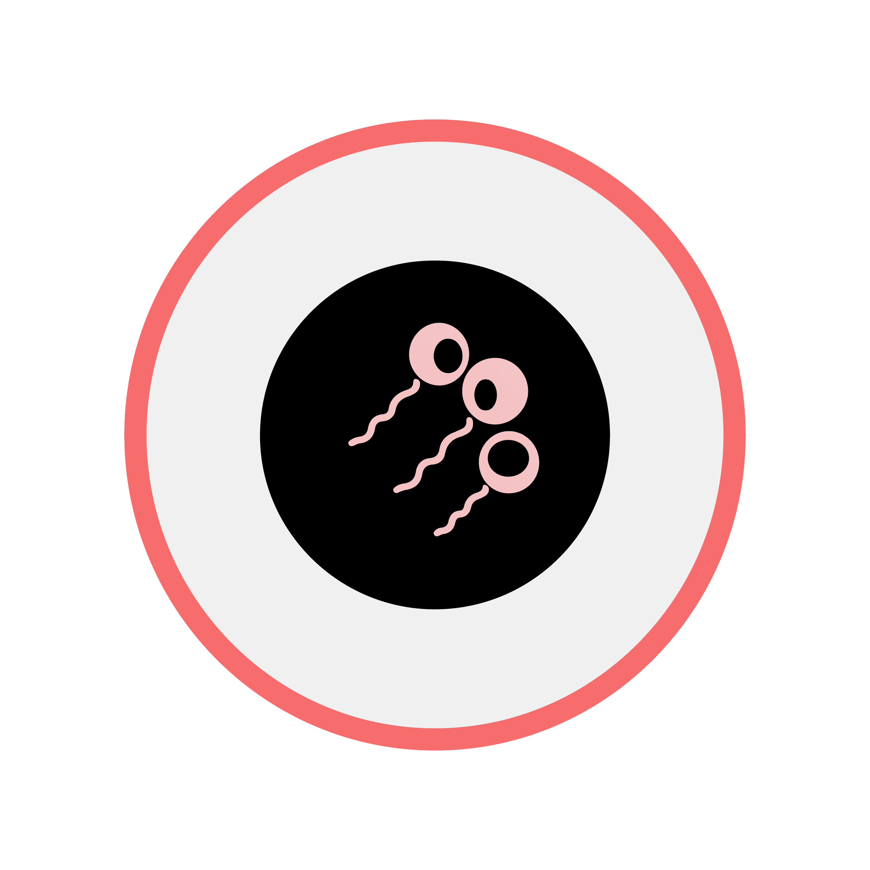 Salmonella Morphology 4