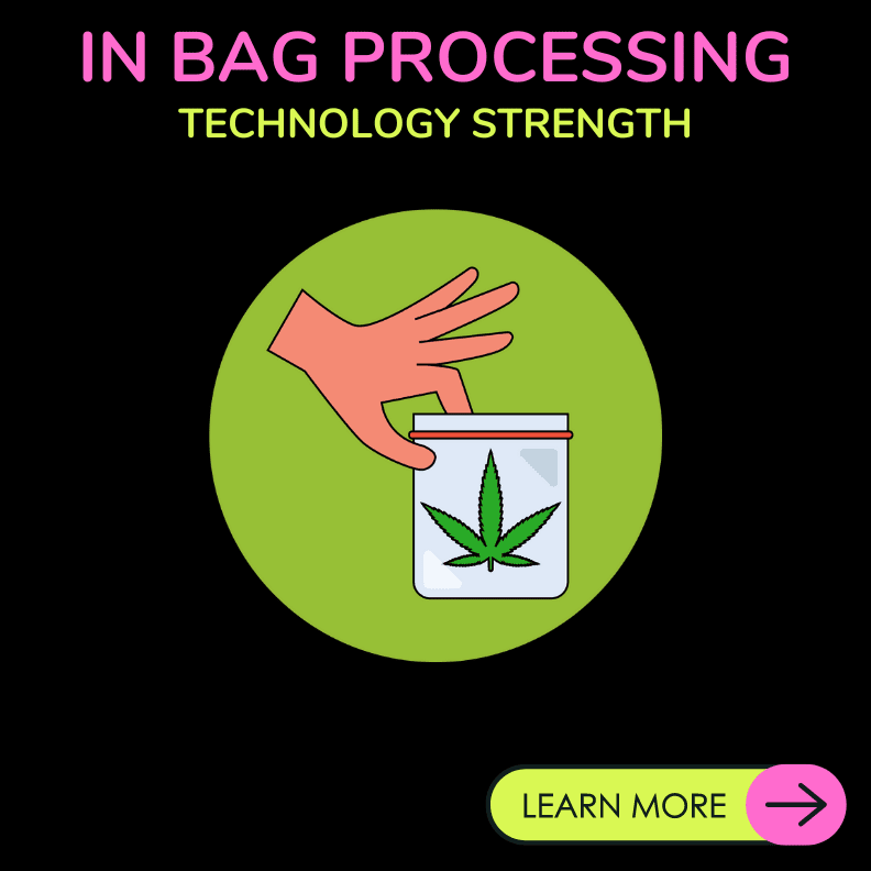 QS IN BAG