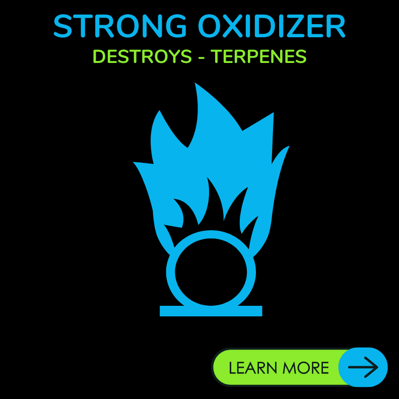 ozone strong oxidizer